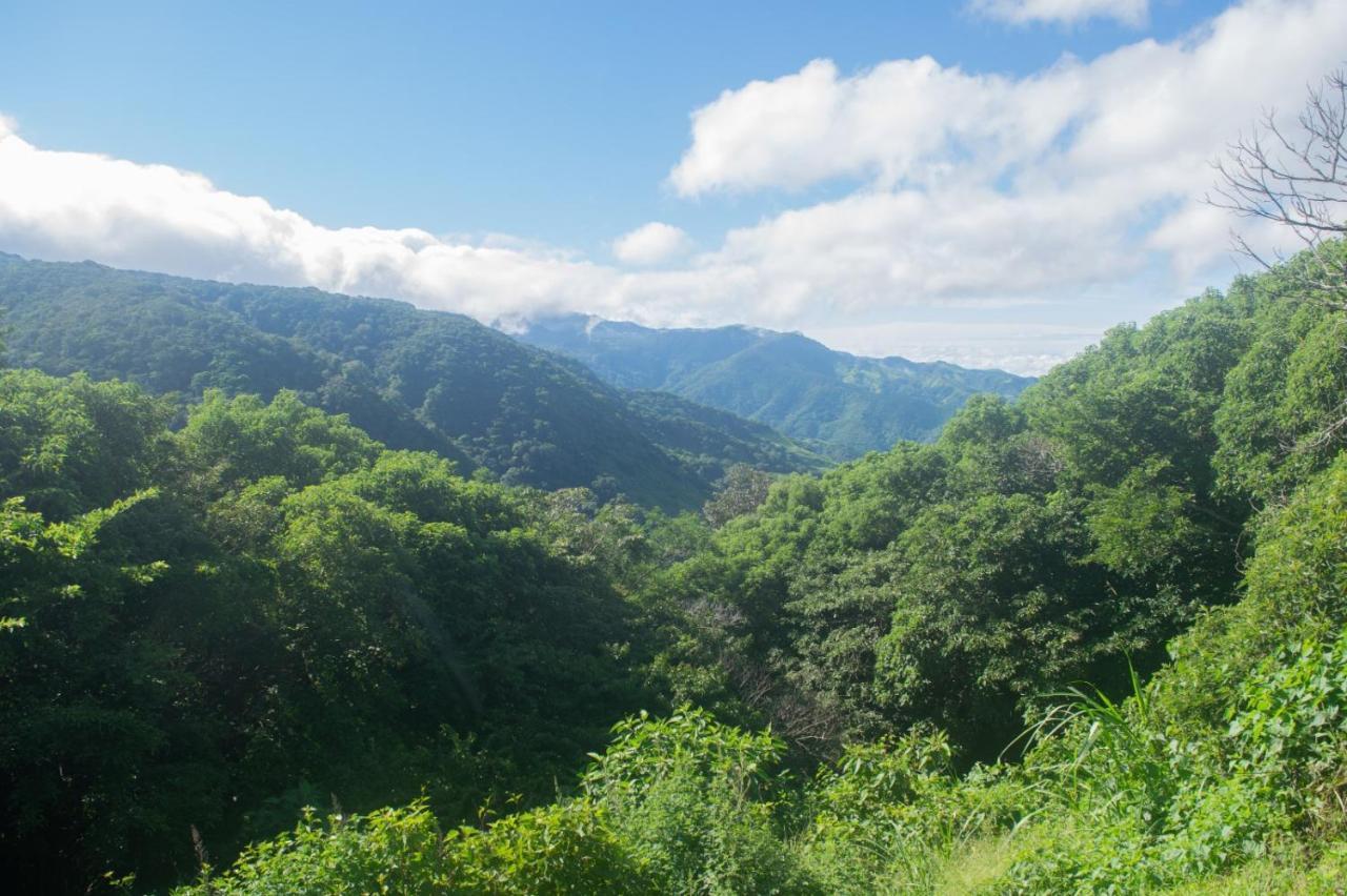 Monteverde La Casa Bonita 아파트 외부 사진
